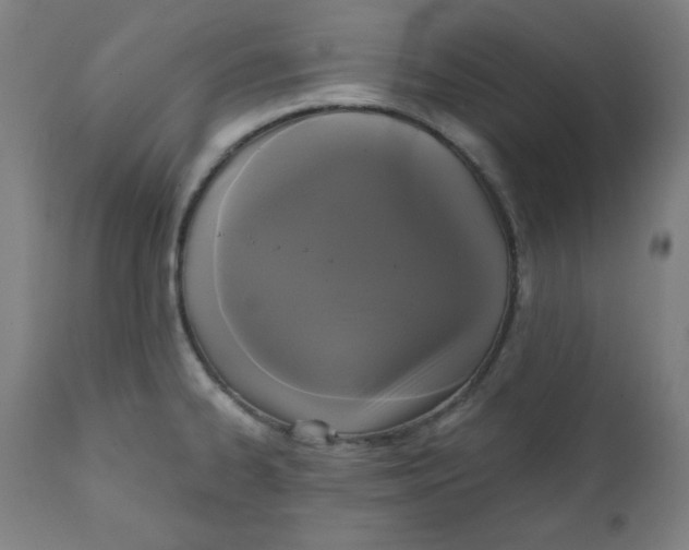 X0000111221334200907161242