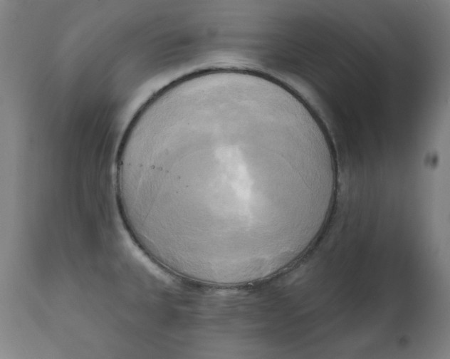 X0000111221335200907161242