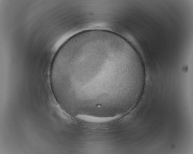 X0000111221336200907161242