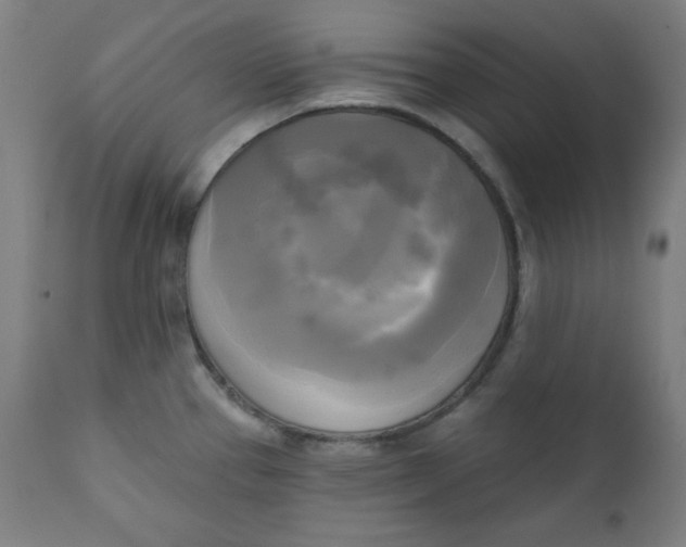 X0000111221337200907161242