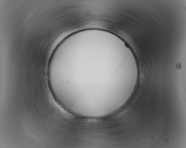 X0000111221339200907161242