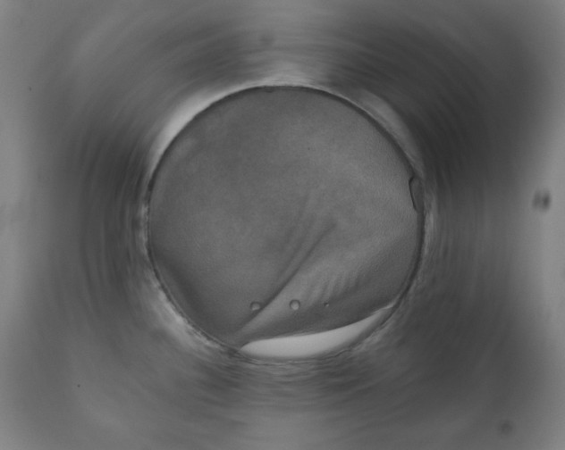 X0000111221340200907161242