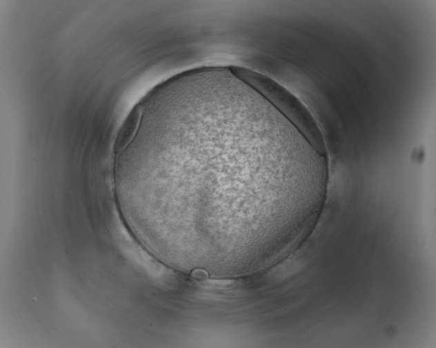 X0000111221342200907161242