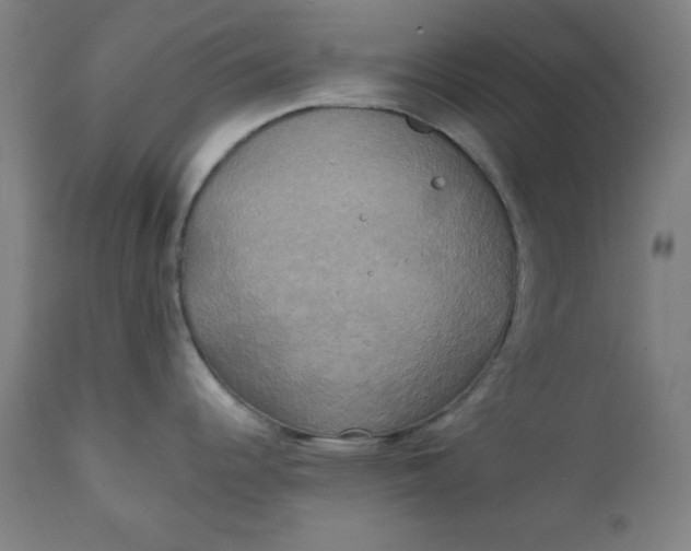 X0000111221344200907161242