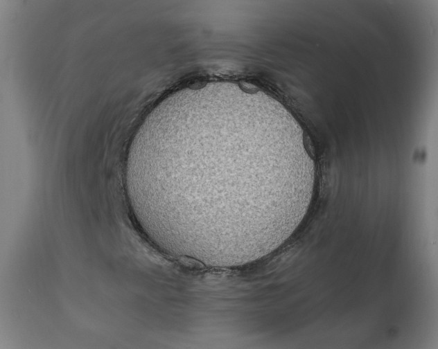 X0000111221345200907161241