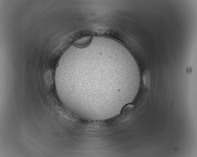 X0000111221347200907161241