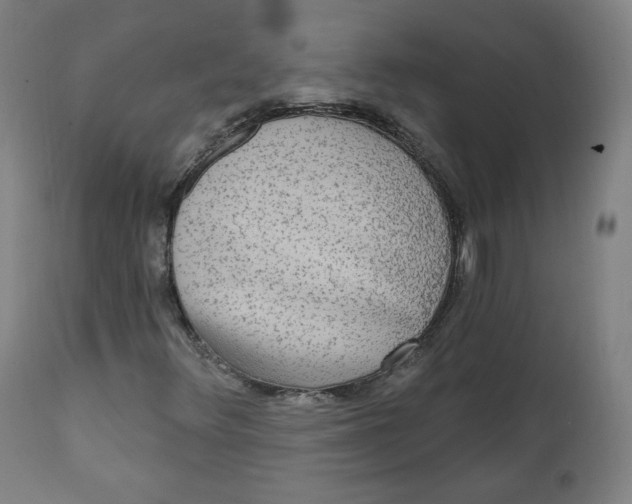 X0000111221348200907161241