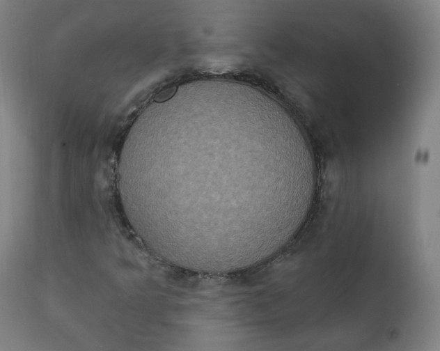 X0000111221349200907161241