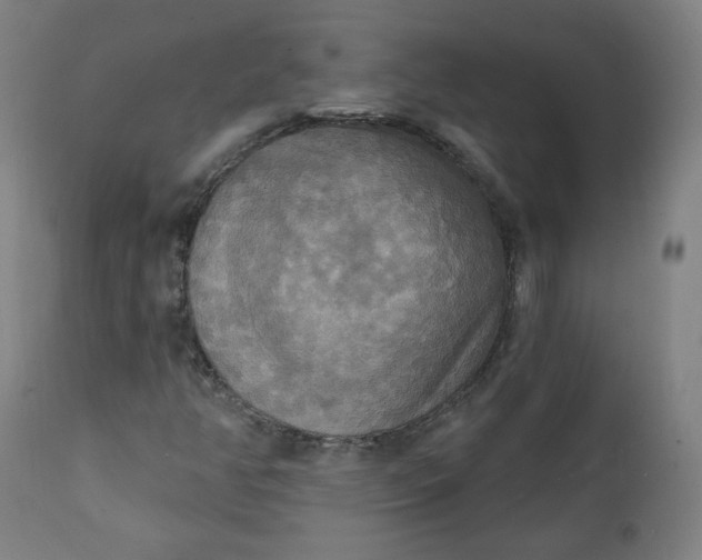 X0000111221350200907161241