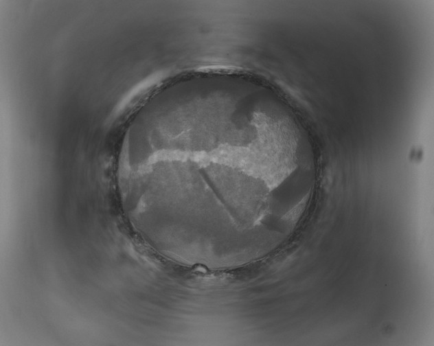 X0000111221351200907161241