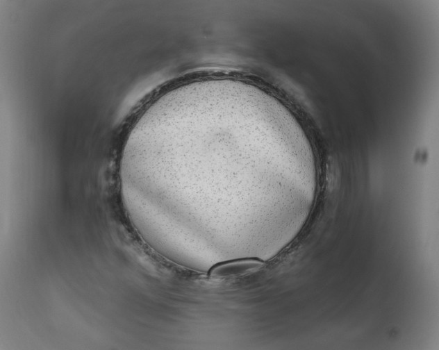 X0000111221352200907161241