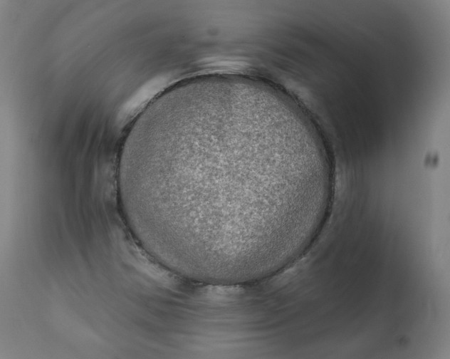 X0000111221354200907161241
