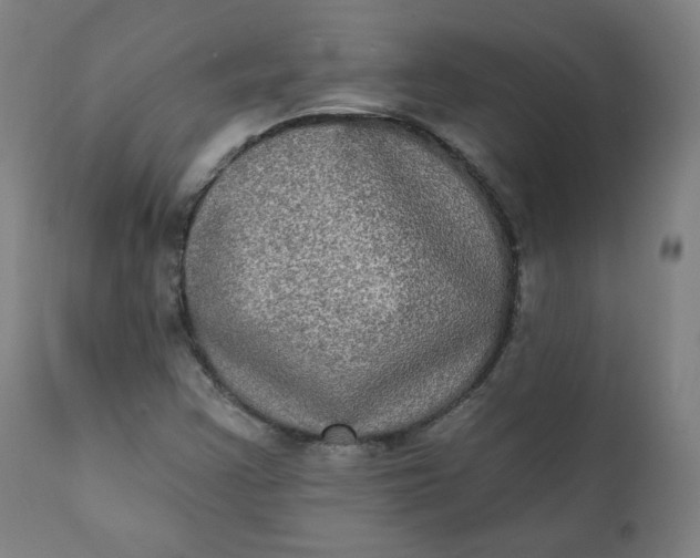 X0000111221355200907161241