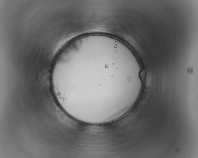 X0000111221356200907161241