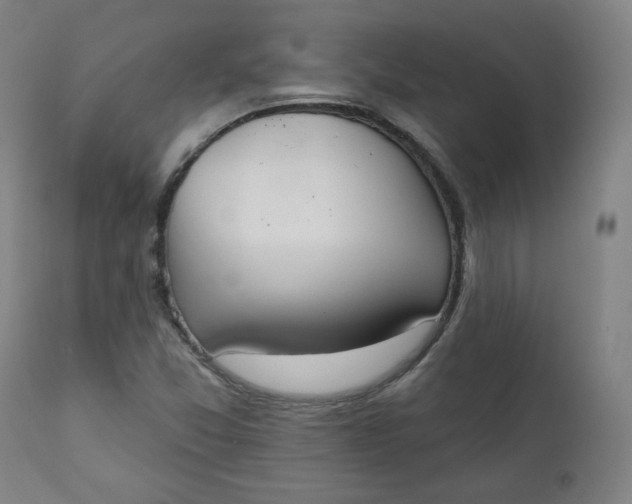 X0000111221357200907161241