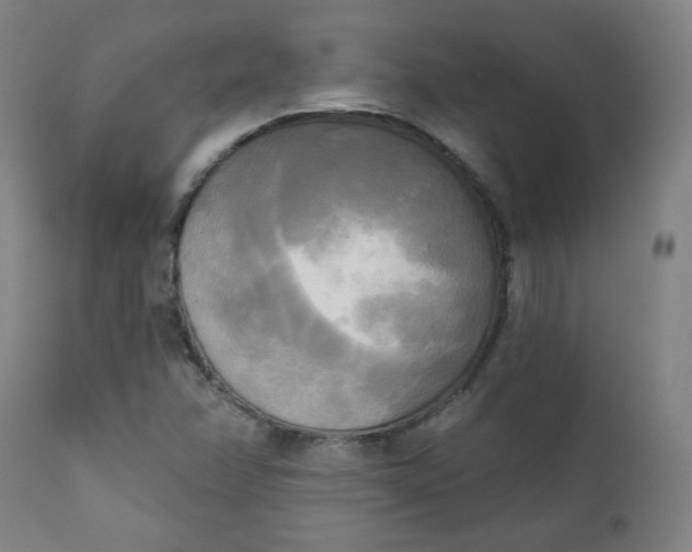 X0000111221358200907161241