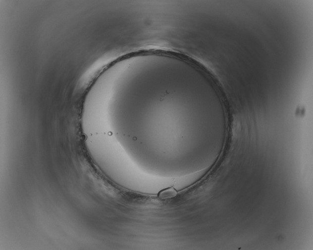 X0000111221359200907161241