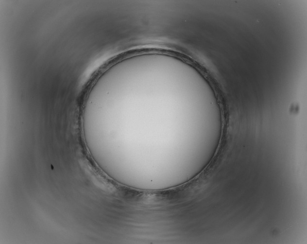 X0000111221360200907161241