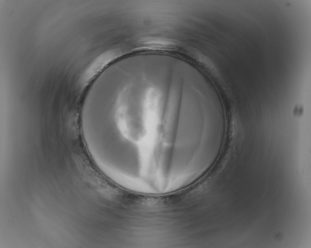 X0000111221362200907161241