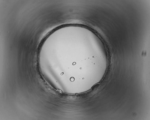 X0000111221364200907161241