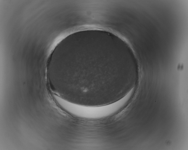 X0000111221365200907161241