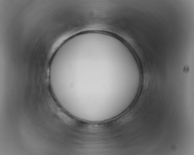X0000111221366200907161241