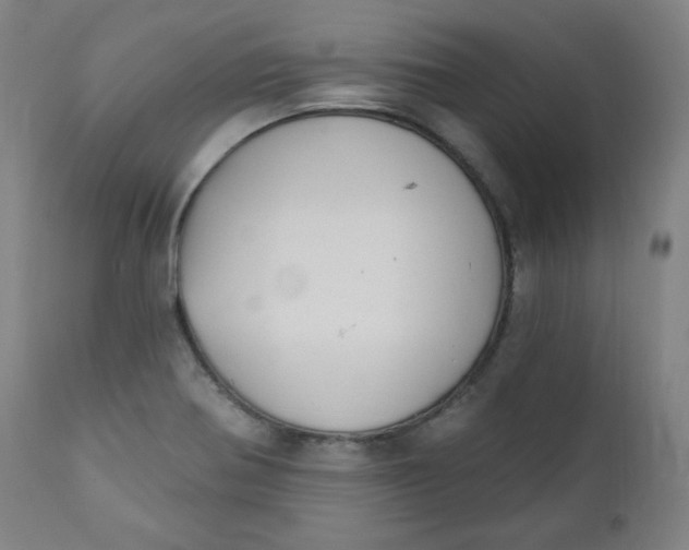 X0000111221370200907161241