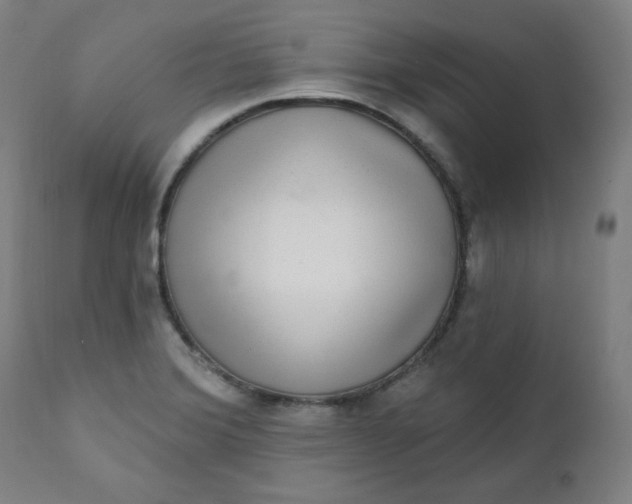 X0000111221372200907161241
