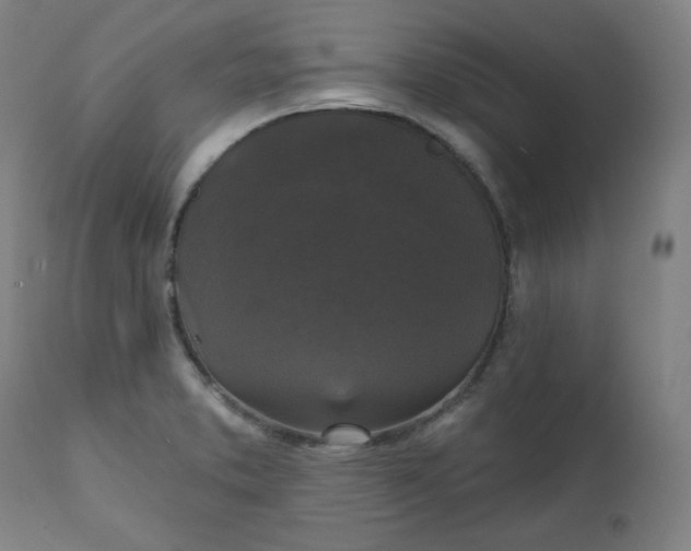 X0000111221373200907161241