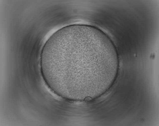 X0000111221375200907161241