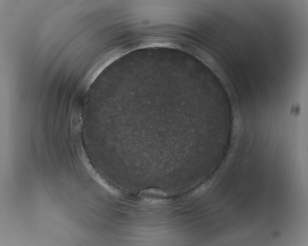 X0000111221377200907161241