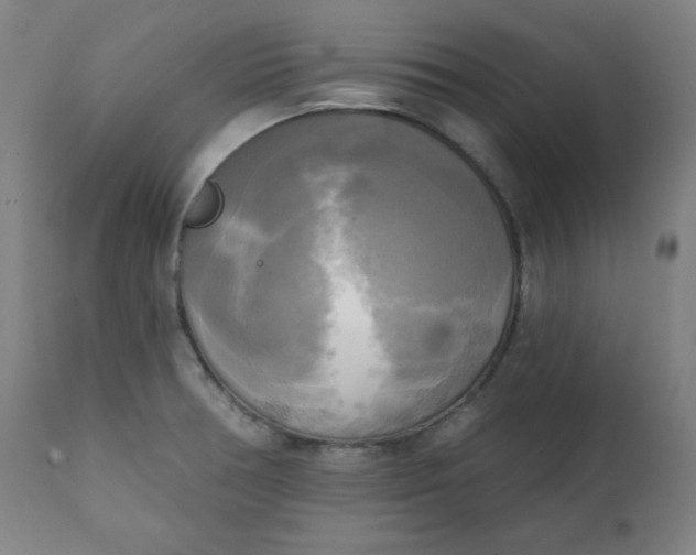 X0000111221378200907161241