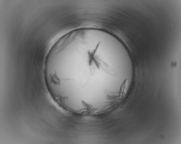 X0000111221379200907161241