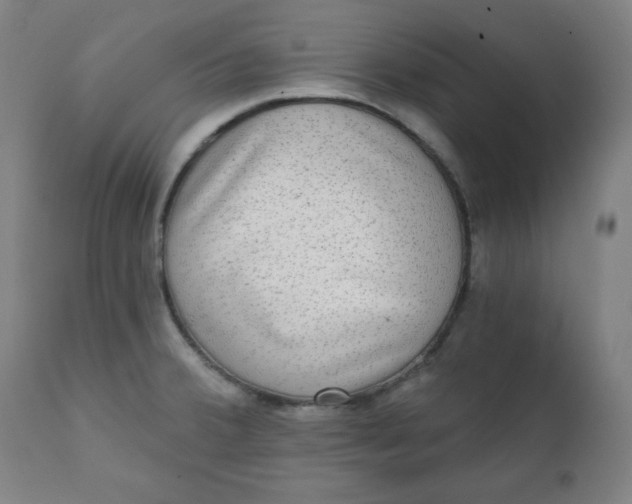 X0000111221380200907161241