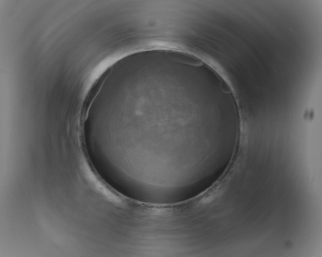 X0000111221381200907161241