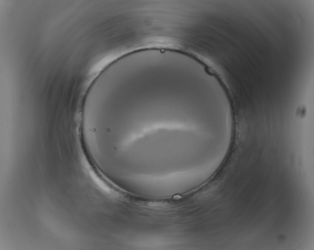 X0000111221383200907161241