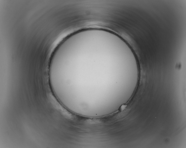 X0000111221384200907161241