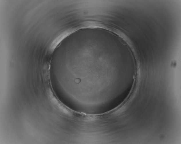 X0000111221385200907161241