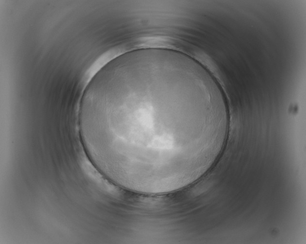 X0000111221386200907161241