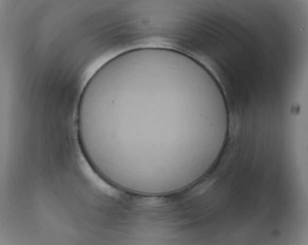 X0000111221387200907161241