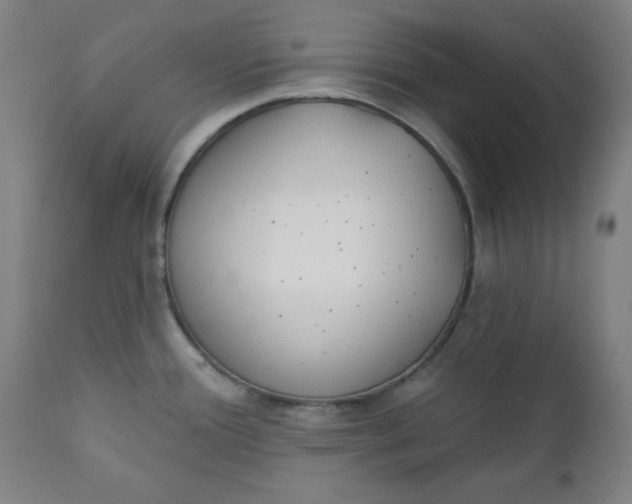 X0000111221388200907161241