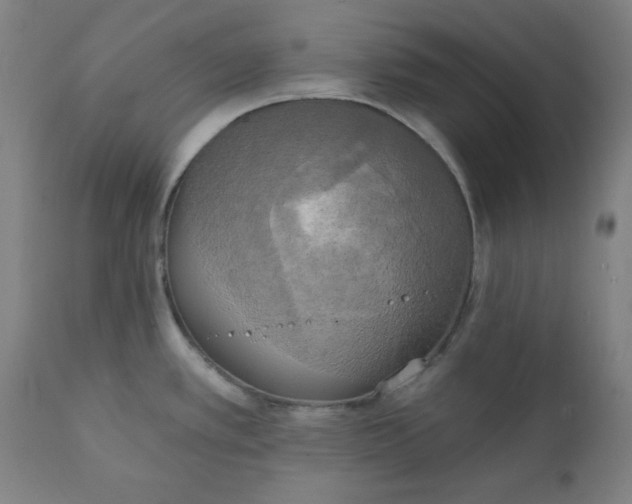 X0000111221389200907161241
