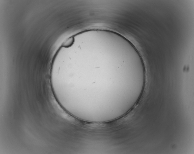 X0000111221392200907161241