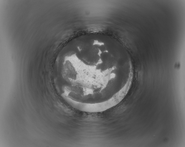 X0000111221393200907161240
