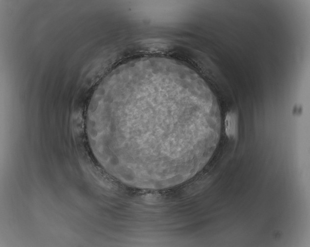 X0000111221395200907161240