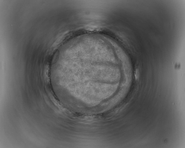 X0000111221396200907161240