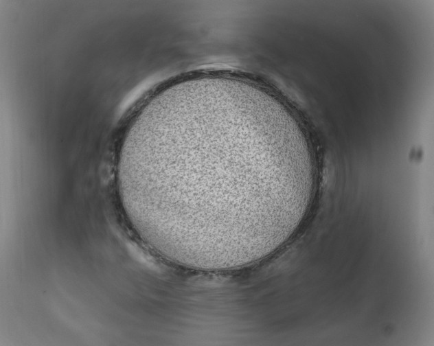 X0000111221400200907161240