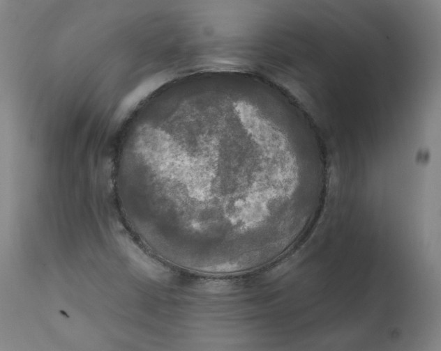X0000111221402200907161240