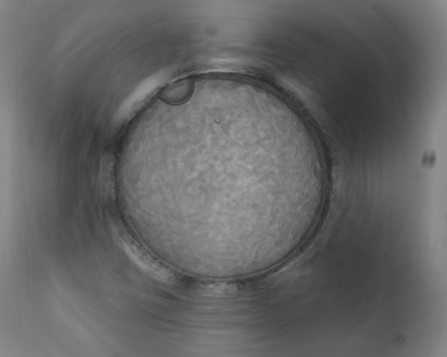 X0000111221403200907161240
