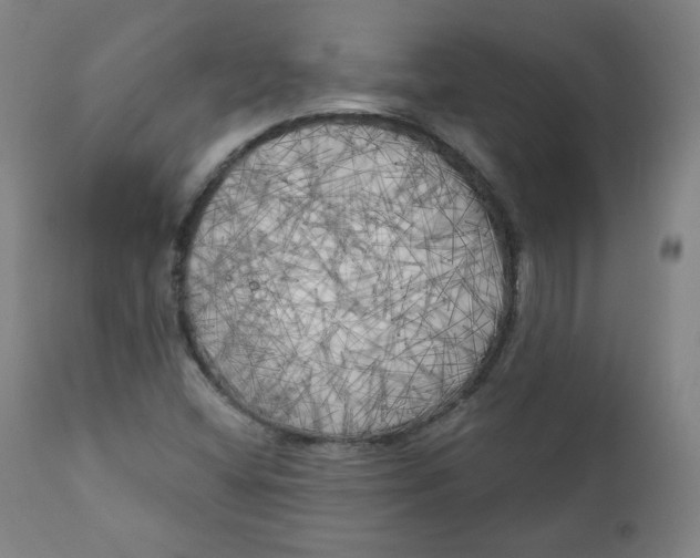 X0000111221404200907161240